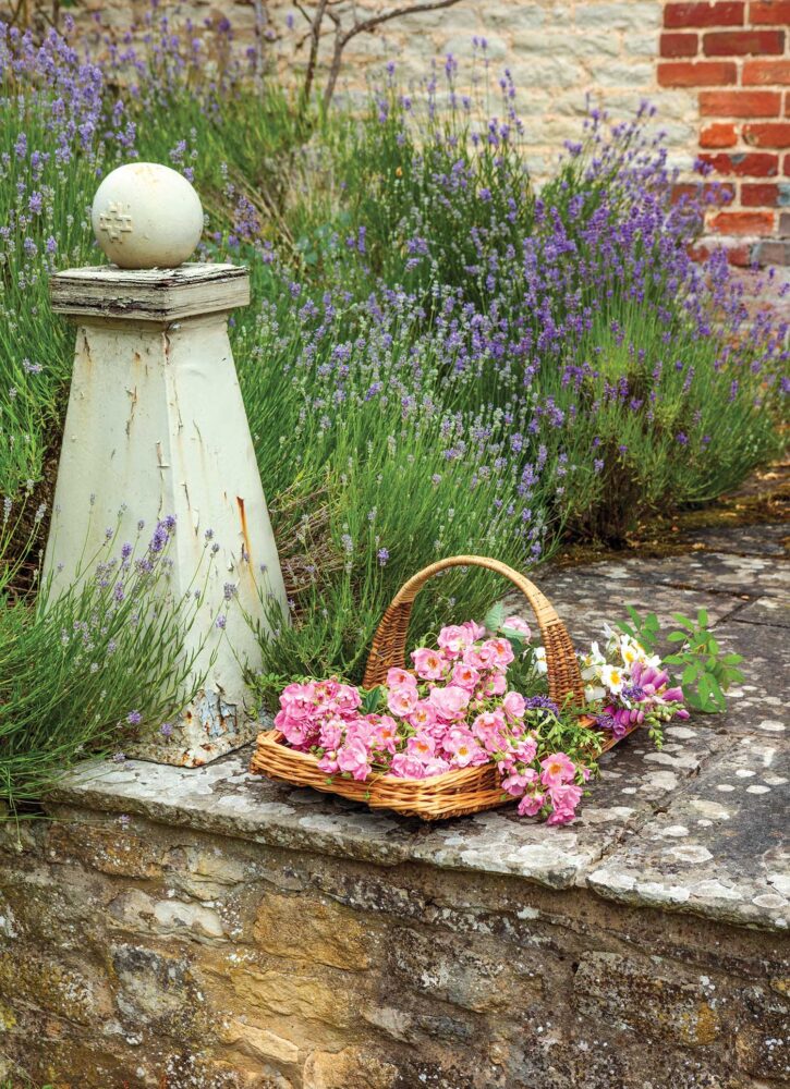 A basket of flowers sits on a stone walkway.