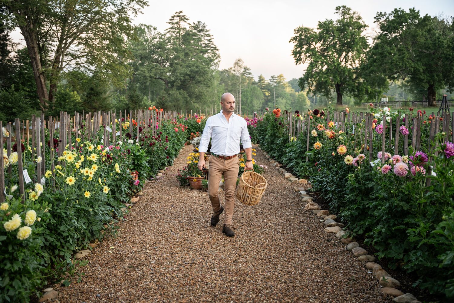 Drew English walks through his dahlia garden.