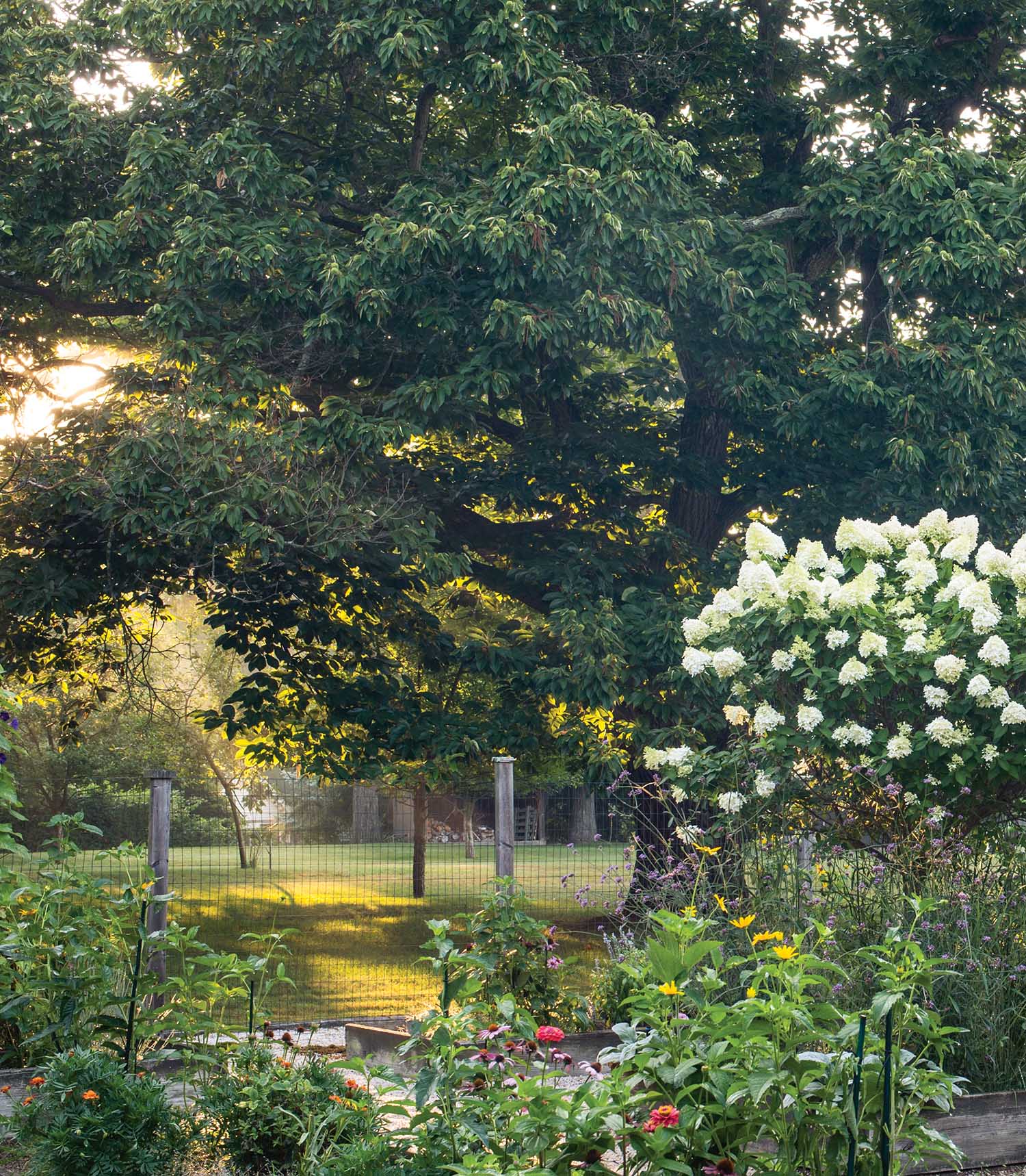 Afternoon light peers through trees into a flowering garden.